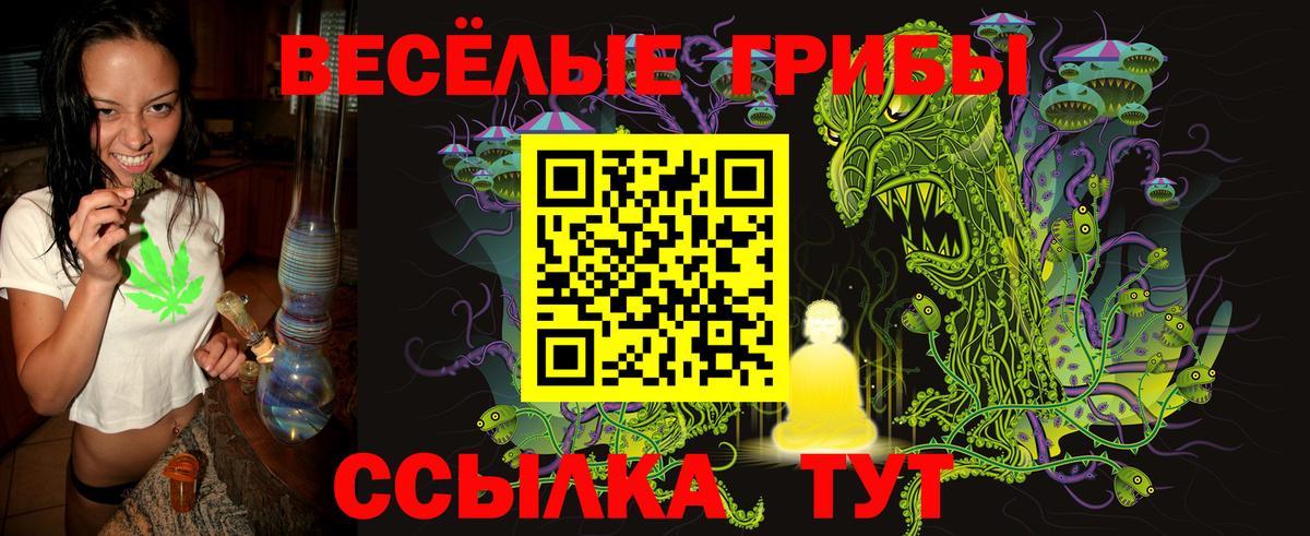 Псилоцибиновые грибы Psilocybine cubensis Губкин