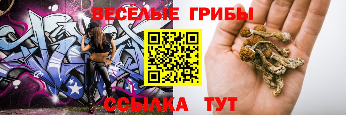 Галлюциногенные грибы Psilocybine cubensis  Псилоцибиновые грибы ЛСД  Губкин  Вход с VPN 